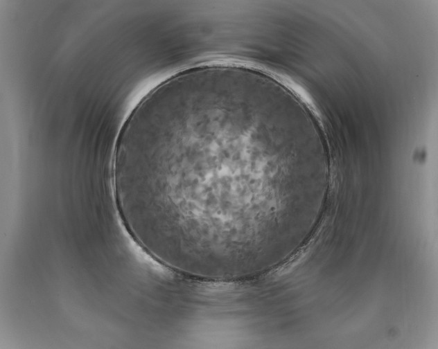 X0000090771247200707201432