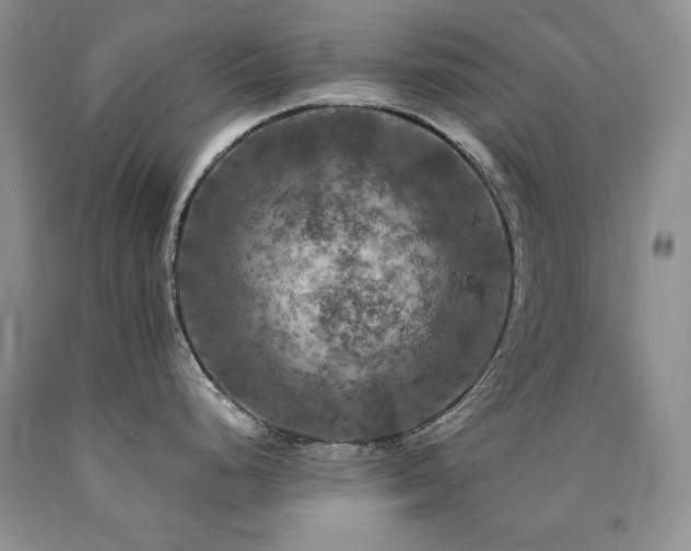 X0000090771248200707201432