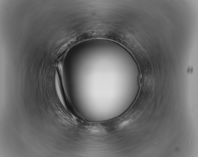 X0000090771250200707201431