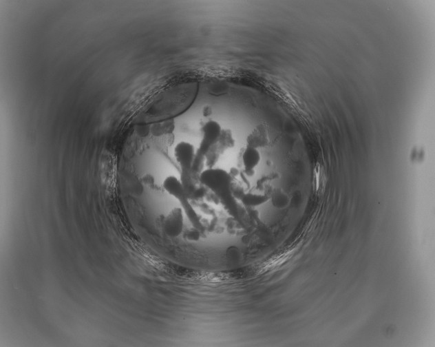 X0000090771251200707201431