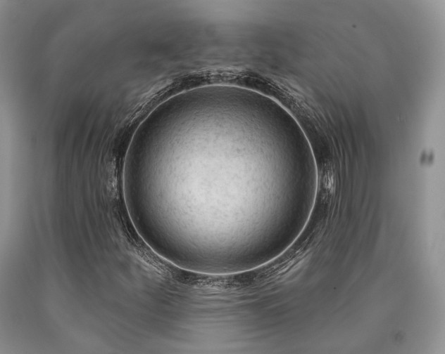 X0000090771252200707201431