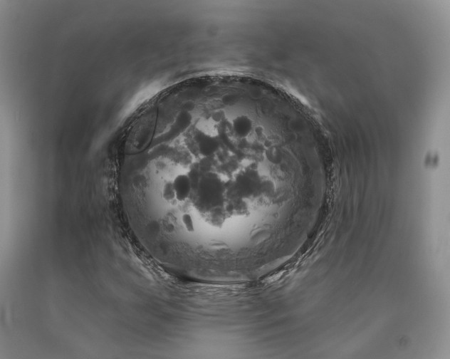 X0000090771255200707201431