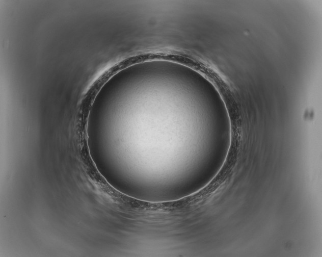X0000090771256200707201431