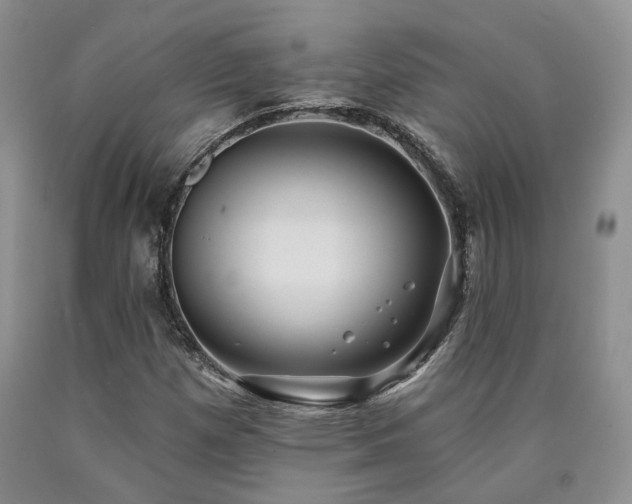 X0000090771257200707201431