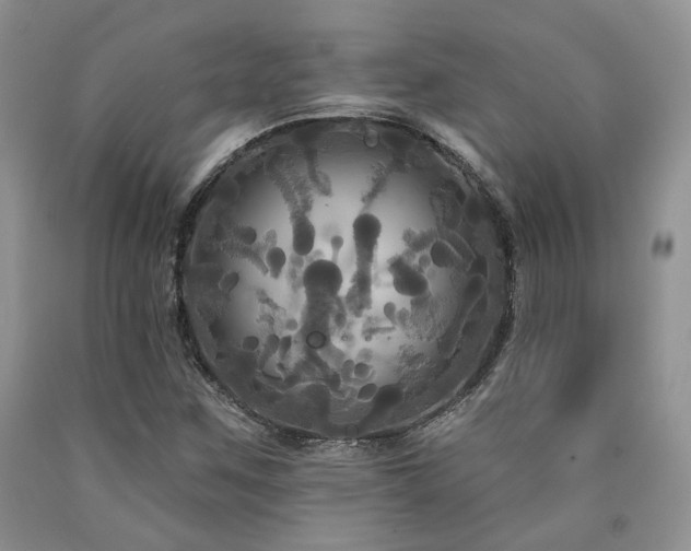 X0000090771259200707201431