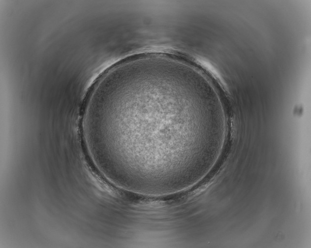 X0000090771260200707201431