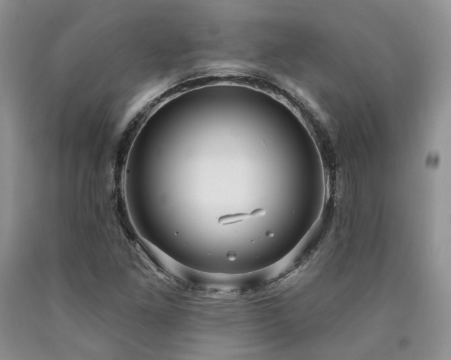 X0000090771261200707201431