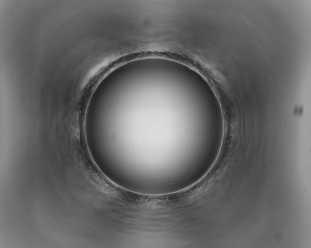 X0000090771262200707201431