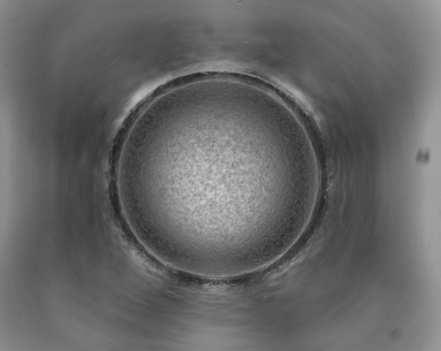 X0000090771264200707201431