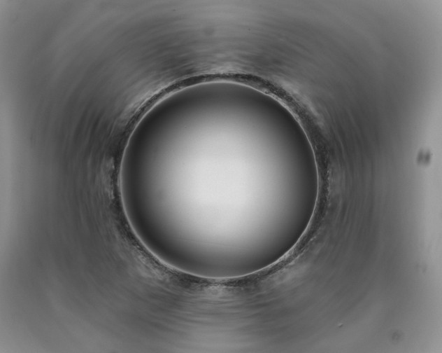 X0000090771265200707201431