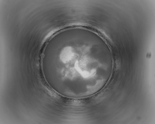 X0000090771266200707201431