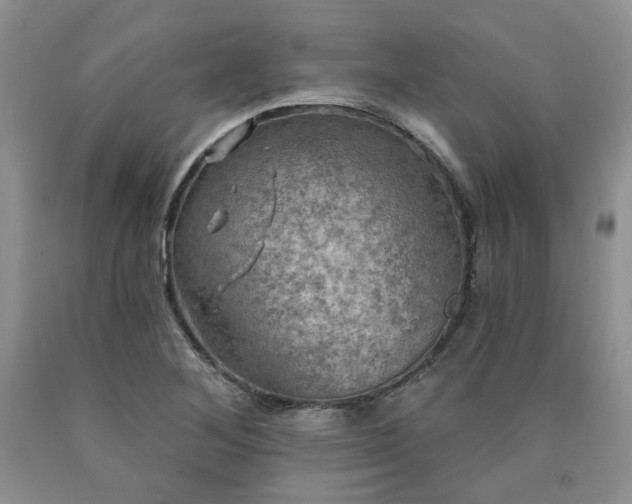 X0000090771268200707201431