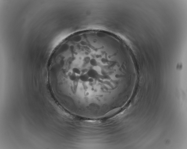X0000090771271200707201431