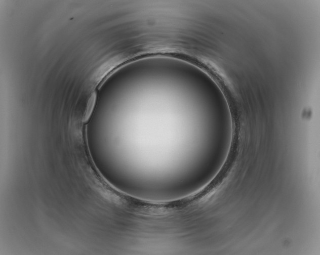 X0000090771273200707201431