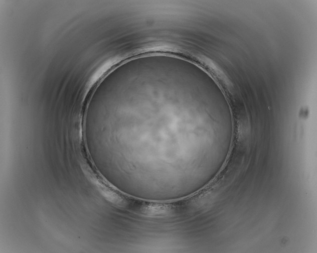 X0000090771274200707201431