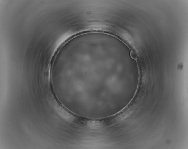 X0000090771275200707201431