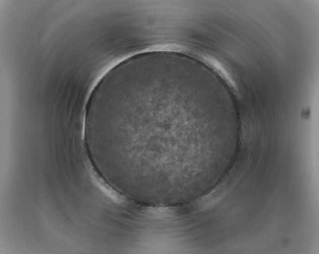 X0000090771276200707201431