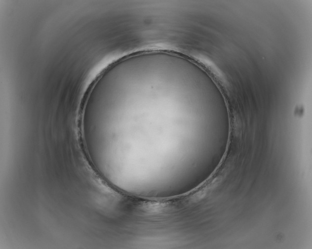 X0000090771278200707201431