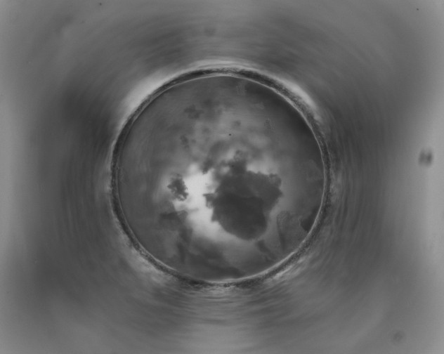 X0000090771279200707201431