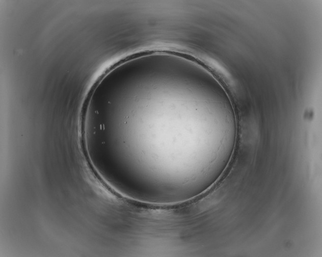 X0000090771280200707201431