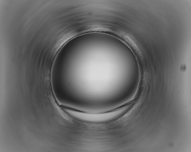 X0000090771281200707201431