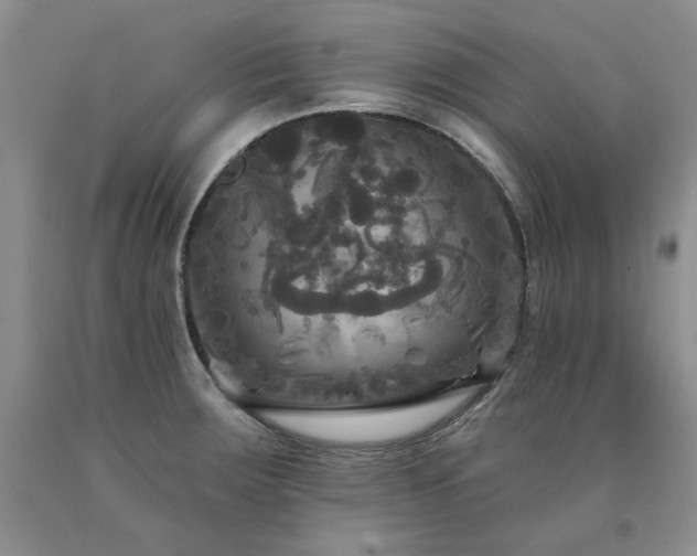 X0000090771283200707201431