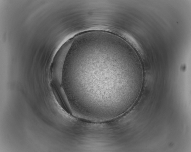 X0000090771284200707201431