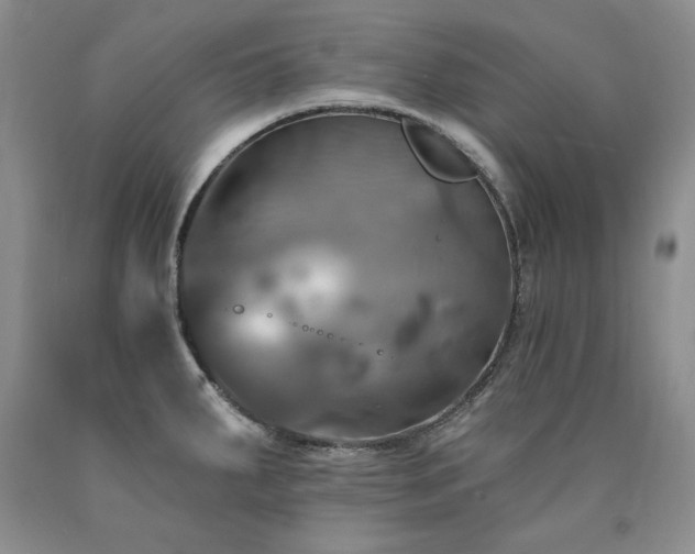X0000090771287200707201431
