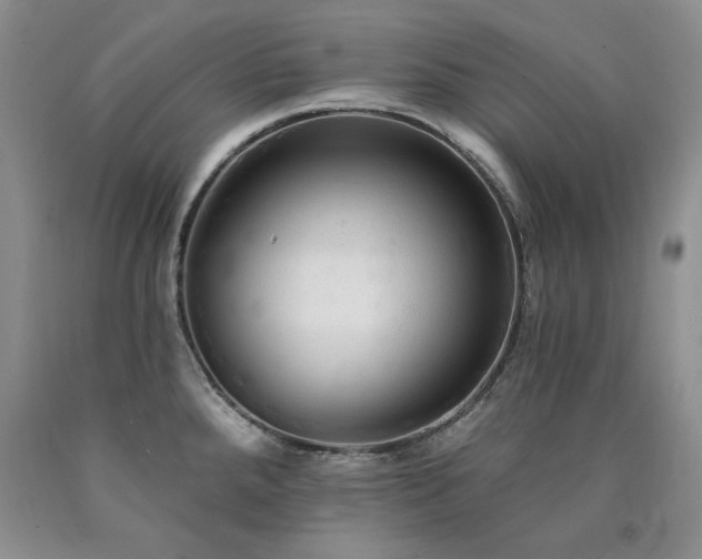 X0000090771288200707201431