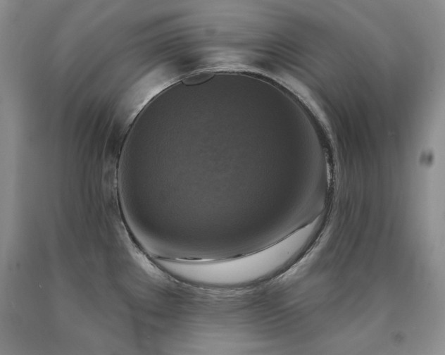 X0000090771289200707201431