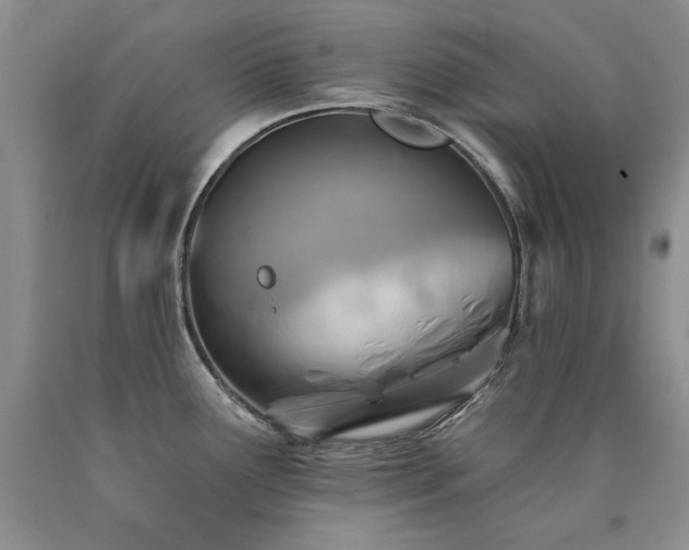 X0000090771291200707201431