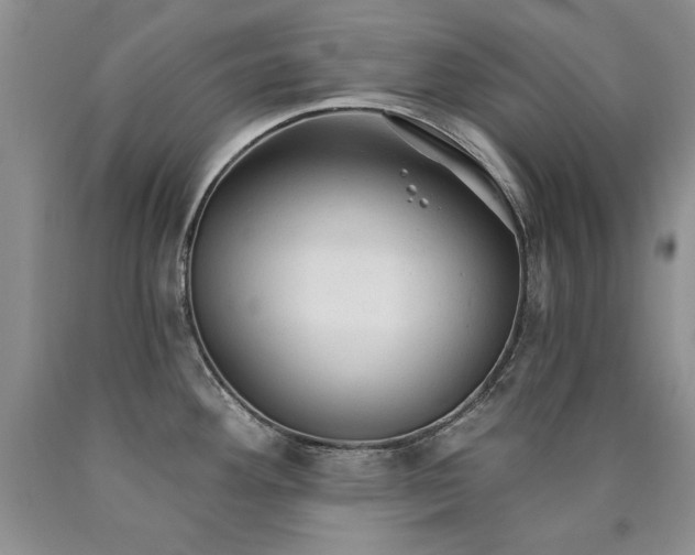 X0000090771292200707201431