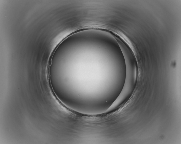 X0000090771293200707201431
