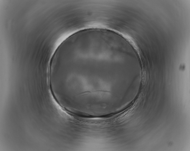 X0000090771295200707201431