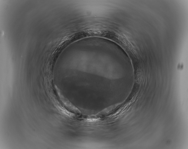 X0000090771297200707201430