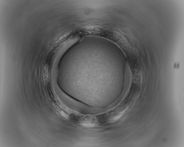 X0000090771298200707201430