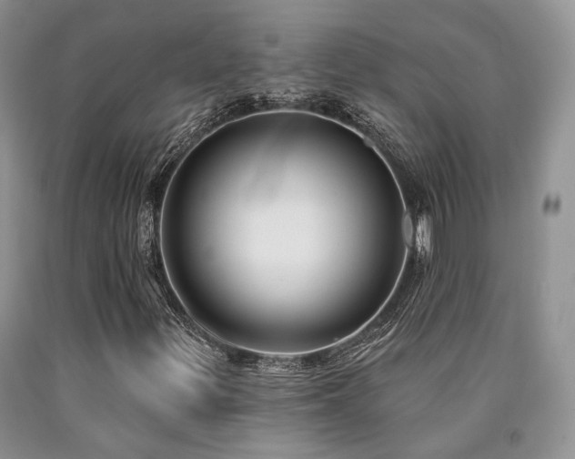 X0000090771299200707201430