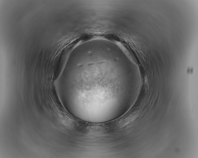 X0000090771300200707201430