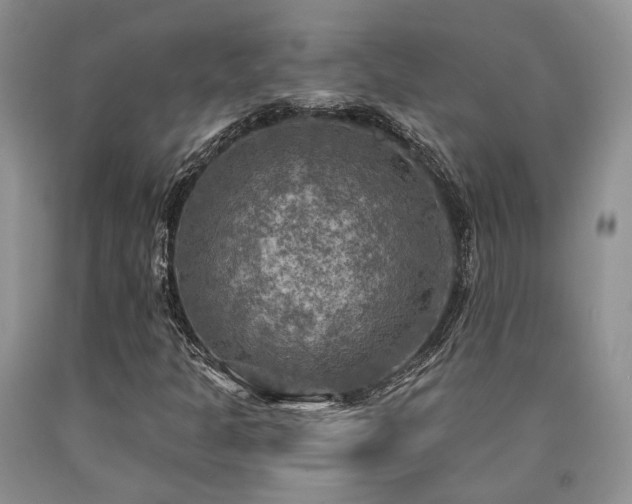 X0000090771301200707201430