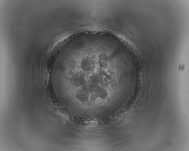 X0000090771302200707201430