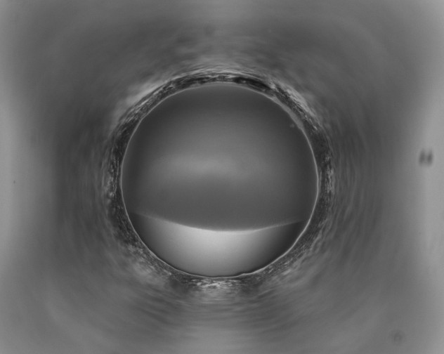 X0000090771303200707201430