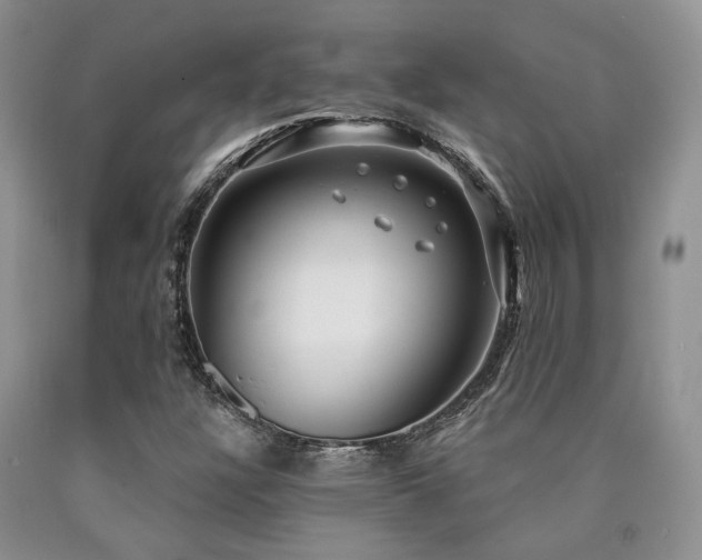 X0000090771304200707201430