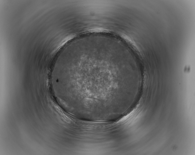 X0000090771305200707201430
