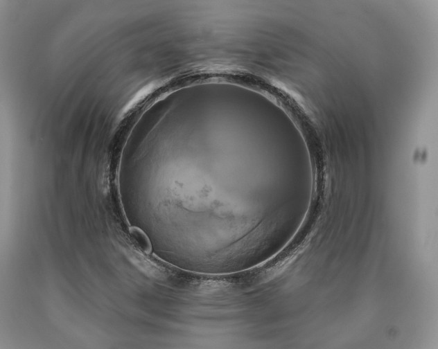 X0000090771306200707201430