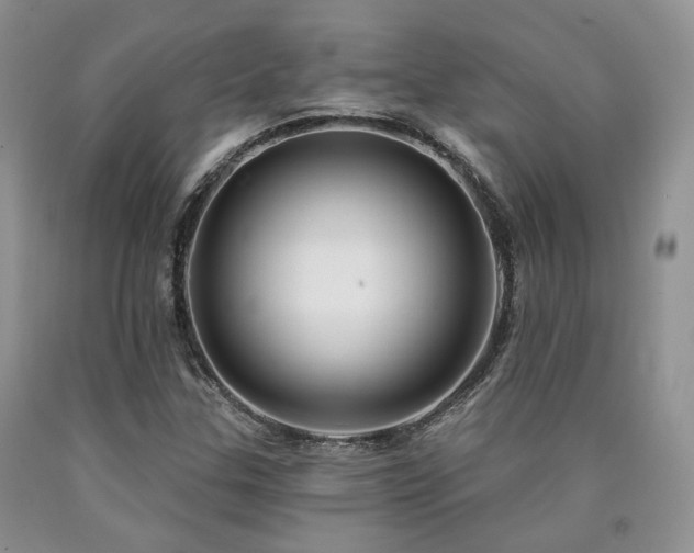 X0000090771307200707201430