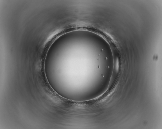 X0000090771309200707201430