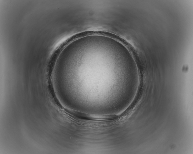 X0000090771311200707201430
