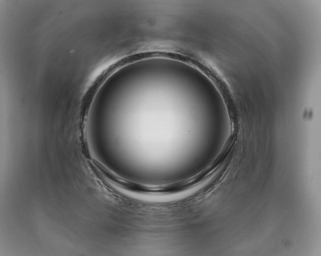 X0000090771312200707201430