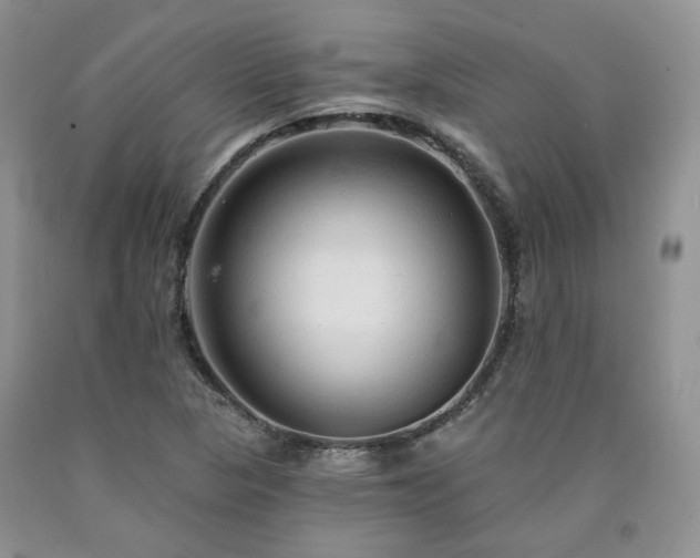 X0000090771313200707201430