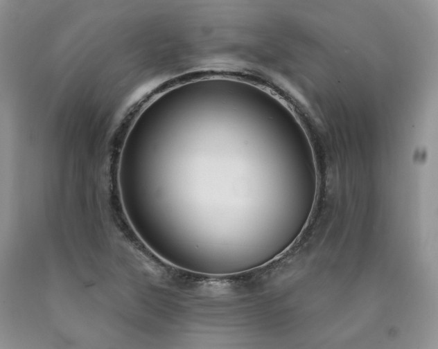 X0000090771315200707201430